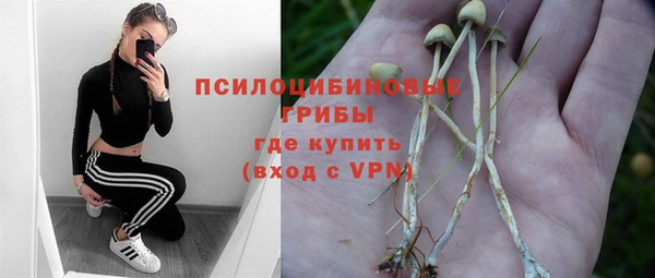 спиды Костерёво