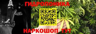 винт Краснодар