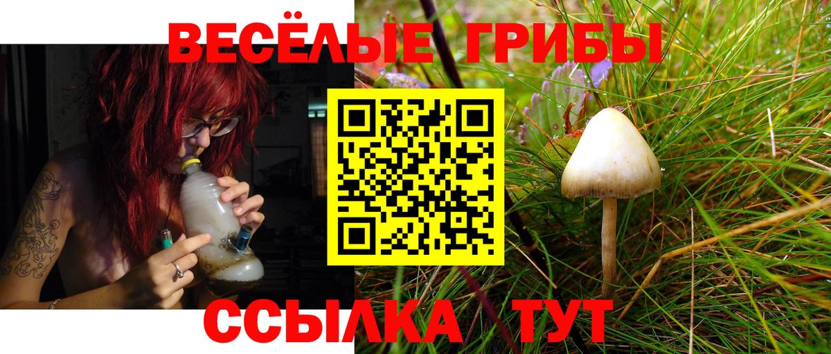 Котлас  Псилоцибиновые грибы GOLDEN TEACHER  закладки  Вход с VPN 
