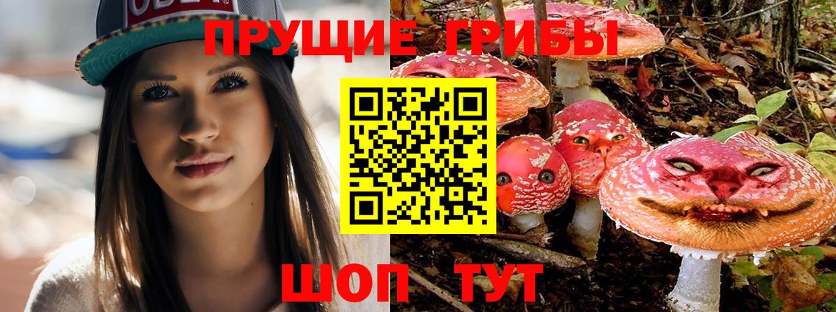 Галлюциногенные грибы мухоморы Котлас