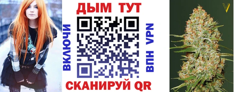 где можно купить   Котлас  МАРИХУАНА гибрид 